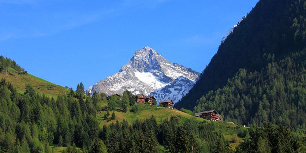 Gamsalm Aparthotel Kals-am Großglockner Eksteriør bilde
